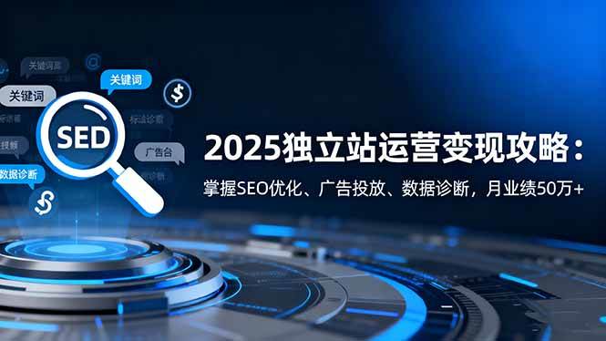 (16371期)2025独立站运营变现攻略:掌握SEO优化、广告投放、数据诊断,月业绩50万+-立业有术