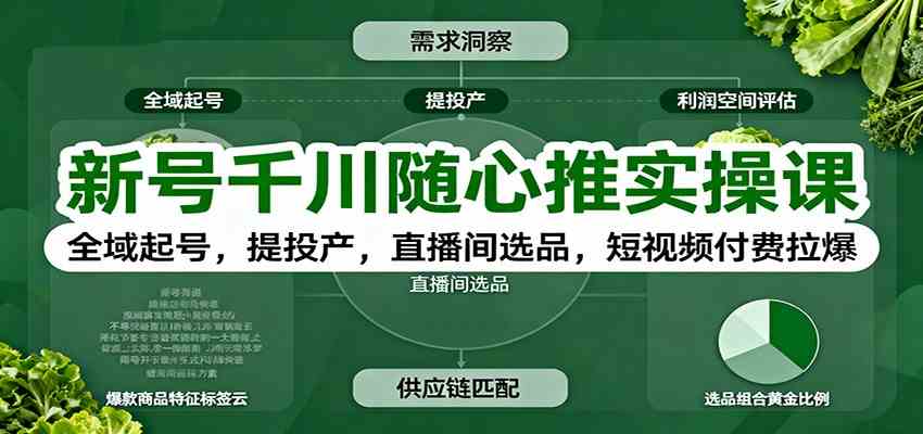 新号千川随心推实操课:全域起号,提投产,直播间选品,短视频付费拉爆-立业有术