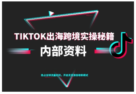 TikTok跨境电商0-1搭建运营,TK出海跨境实操秘籍(10月更新)-立业有术