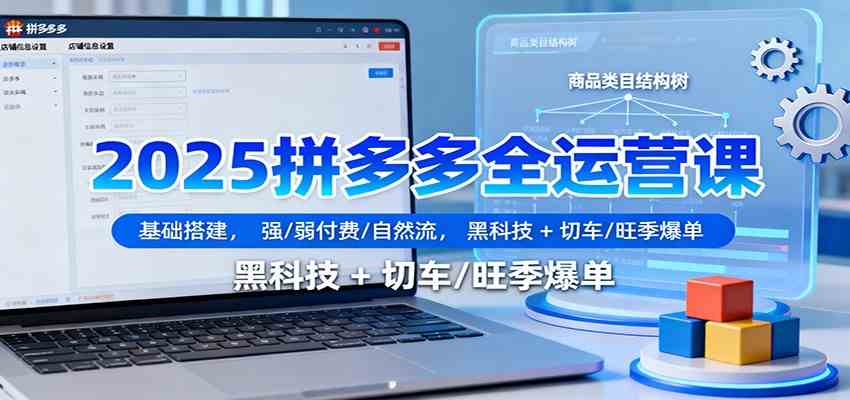 2025拼多多全运营课:基础搭建,强/弱付费/自然流,黑科技 + 切车/旺季爆单-立业有术