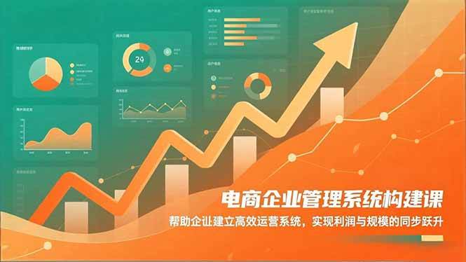 (16643期)电商企业管理系统构建课:帮助企业建立高效运营系统,实现利润与规模的同步跃升