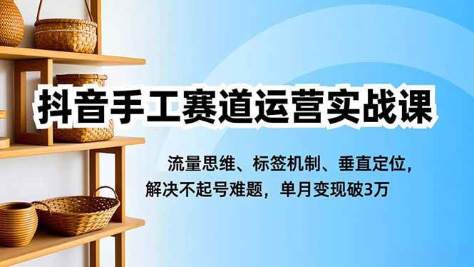 (16667期)抖音手工赛道运营实战课,流量思维、标签机制、垂直定位,解决不起号难题,单月变现破3万-立业有术