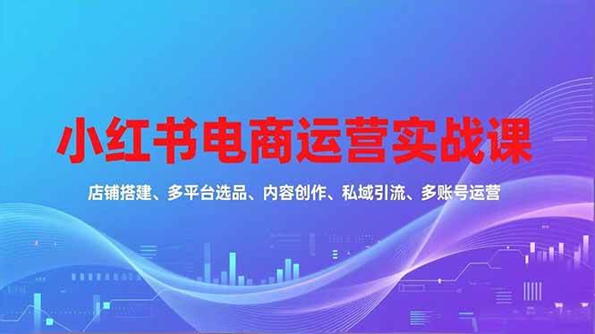 (16695期)小红书电商运营实战课,店铺搭建、多平台选品、内容创作、私域引流、多账号运营等玩法-立业有术