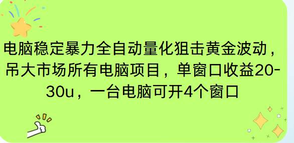(16737期)电脑EA策略挂机项目单窗口收益20-30u,单电脑可挂5-10个窗口收益稳健4位数-立业有术