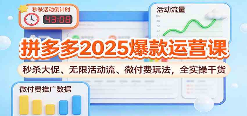 拼多多2025爆款运营课:秒杀大促、无限活动流、微付费玩法,全实操干货-立业有术