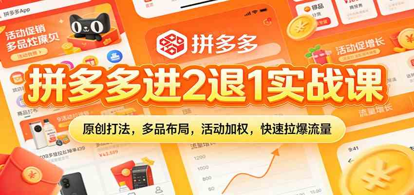 拼多多进2退1实战课:原创打法,多品布局,活动加权,快速拉爆流量-立业有术