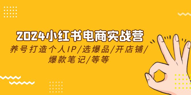 2024小红书电商实战营，养号打造IP/选爆品/开店铺/爆款笔记/等等（24节）-立业有术