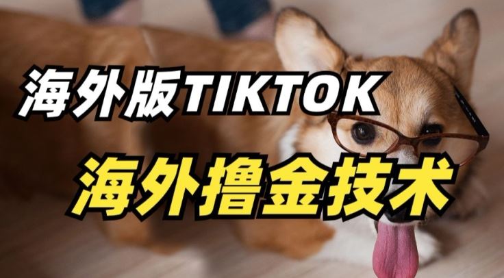 抖音海外版tiktok撸金技术，这个风口行业，赚钱真的不难【揭秘】-立业有术