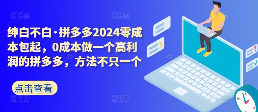 拼多多2024零成本包起，0成本做一个高利润的拼多多，方法不只一个-立业有术