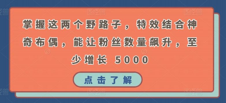 掌握这两个野路子，特效结合神奇布偶，能让粉丝数量飙升，至少增长 5000【揭秘】-立业有术