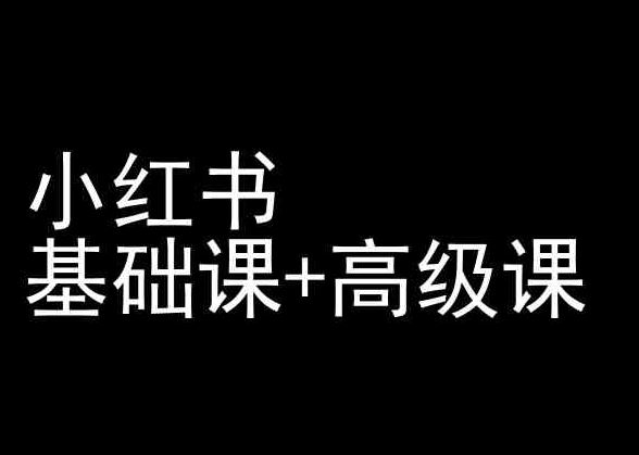小红书基础课+高级课-小红书运营教程-立业有术