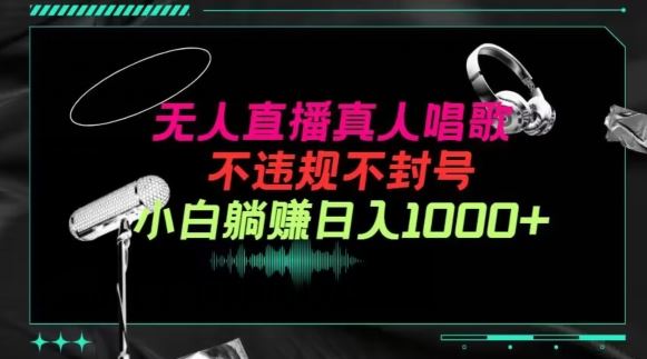 抖音24小时无人直播音乐，不违规，不封号纯撸音浪，小白实操当天日入1000+【揭秘】-立业有术