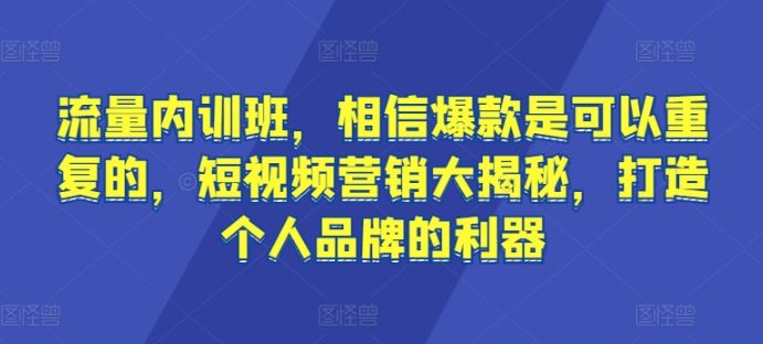流量内训班，相信爆款是可以重复的，短视频营销大揭秘，打造个人品牌的利器-立业有术