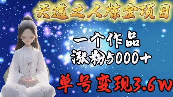 天选之人炼金项目，一个作品涨粉5000+，单号变现3.6w【揭秘】-立业有术