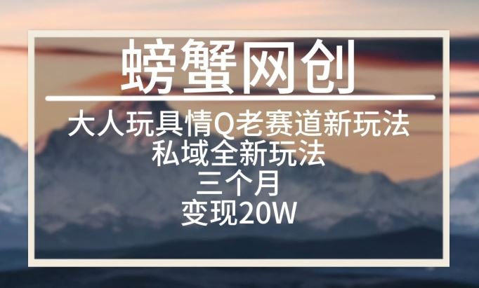 大人玩具情Q用品赛道私域全新玩法，三个月变现20W，老项目新思路【揭秘】-立业有术