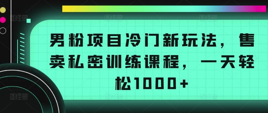 男粉项目冷门新玩法，售卖私密训练课程，一天轻松1000+【揭秘】-立业有术