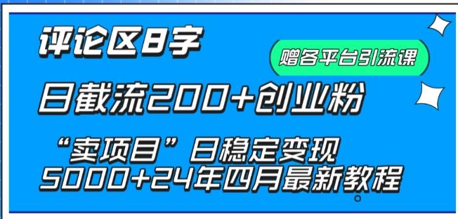 抖音评论区8字日截流200+创业粉 “卖项目”日稳定变现5000+【揭秘】-立业有术