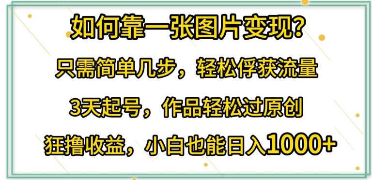 如何靠一张图片变现?只需简单几步，轻松俘获流量，3天起号，作品轻松过原创【揭秘】-立业有术