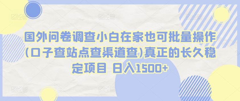 国外问卷调查小白在家也可批量操作(口子查站点查渠道查)真正的长久稳定项目 日入1500+【揭秘】-立业有术