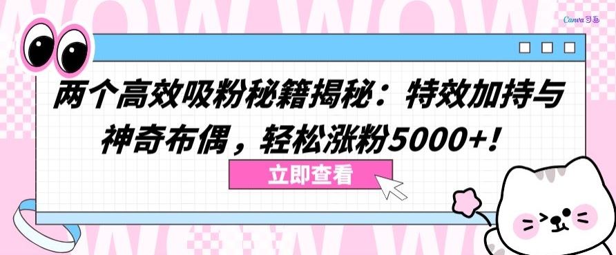 两个高效吸粉秘籍揭秘：特效加持与神奇布偶，轻松涨粉5000+【揭秘】-立业有术