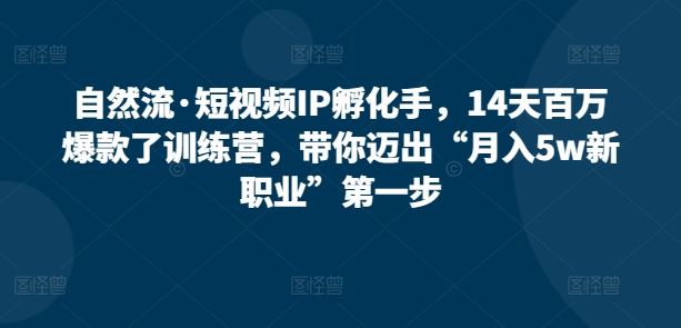 自然流·短视频IP孵化手，14天百万爆款了训练营，带你迈出“月入5w新职业”第一步-立业有术