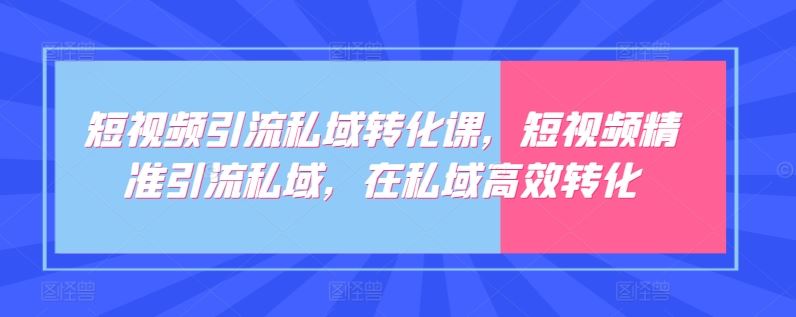 短视频引流私域转化课，短视频精准引流私域，在私域高效转化-立业有术