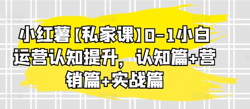小红薯【私家课】0-1小白运营认知提升，认知篇+营销篇+实战篇-立业有术