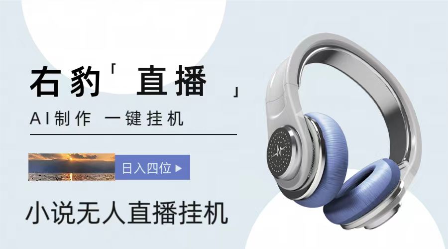 右豹小说无人直播挂机吸金项目，简单易行收益稳定， 月入1000+-立业有术