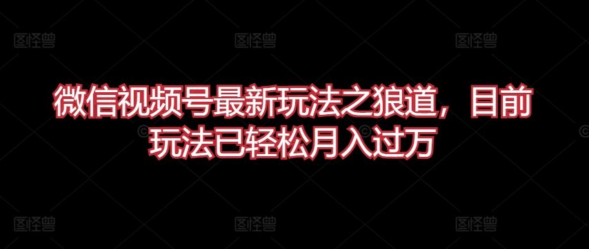微信视频号最新玩法之狼道，目前玩法已轻松月入过万【揭秘】-立业有术