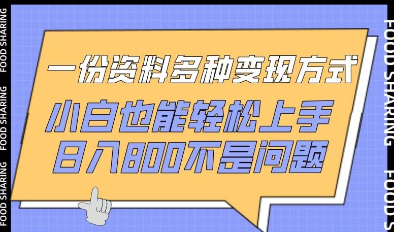 一份资料多种变现方式，小白也能轻松上手，日入800不是问题【揭秘】-立业有术