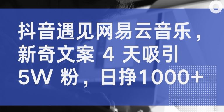 抖音遇见网易云音乐，新奇文案 4 天吸引 5W 粉，日挣1000+【揭秘】-立业有术