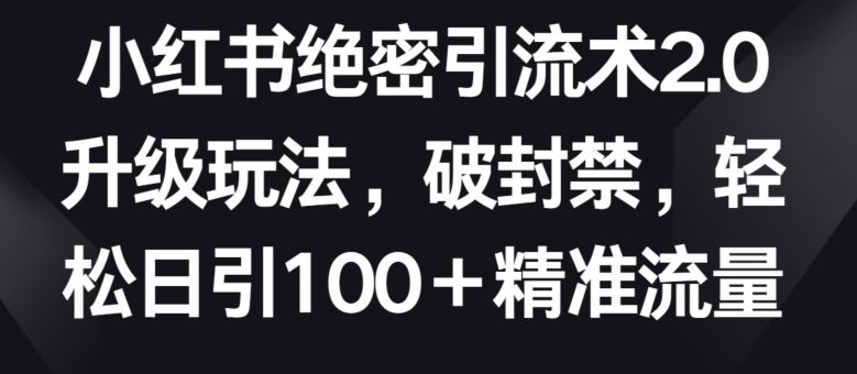 小红书绝密引流术2.0升级玩法，破封禁，轻松日引100+精准流量【揭秘】-立业有术