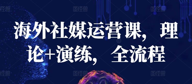 海外社媒运营课，理论+演练，全流程-立业有术