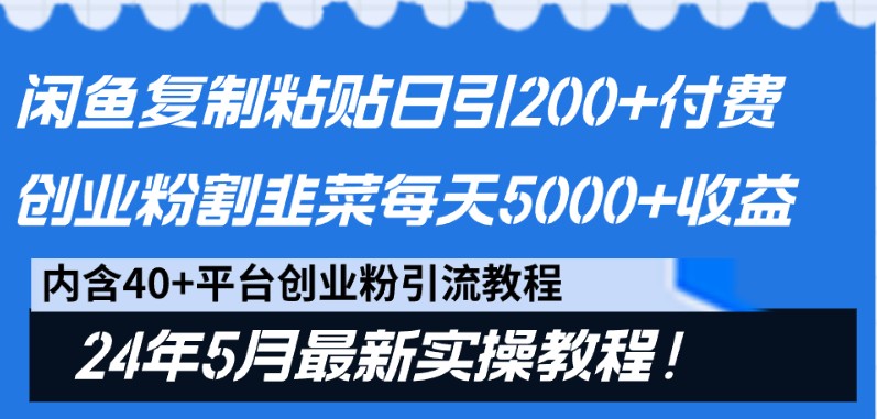 闲鱼复制粘贴日引200+付费创业粉，24年5月最新方法！割韭菜日稳定5000+收益-立业有术