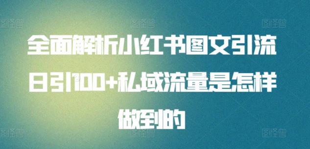 全面解析小红书图文引流日引100+私域流量是怎样做到的【揭秘】-立业有术