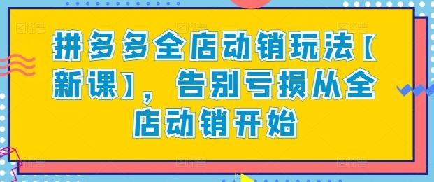 拼多多全店动销玩法【新课】，告别亏损从全店动销开始-立业有术