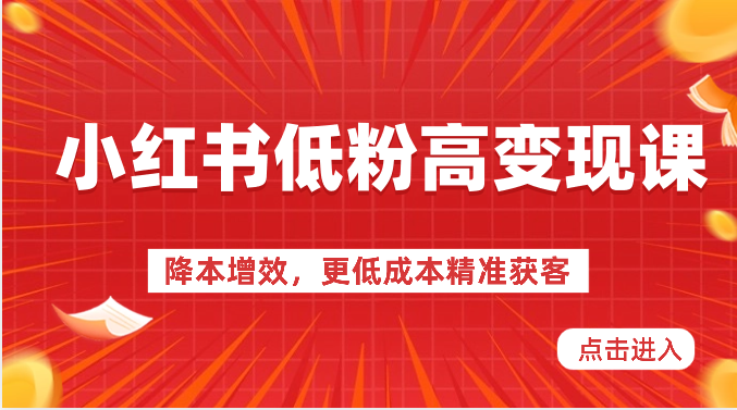 小红书低粉高变现课-降本增效，更低成本精准获客，小红书必爆的流量密码-立业有术