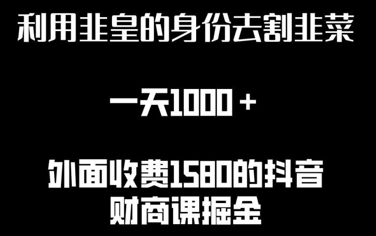 利用非皇的身份去割韭菜，一天1000+(附详细资源)【揭秘】-立业有术