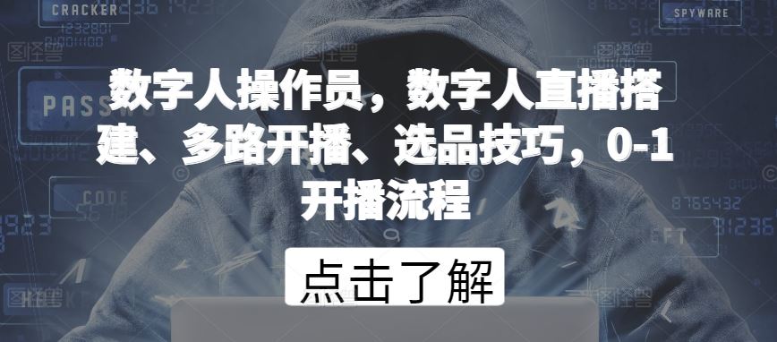数字人操作员，数字人直播搭建、多路开播、选品技巧，0-1开播流程-立业有术