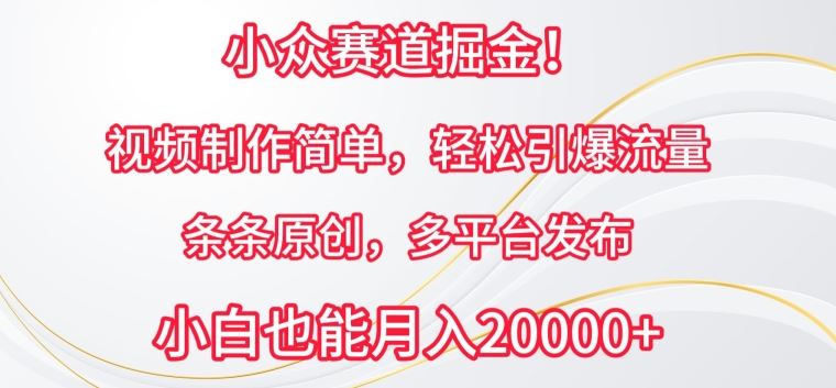 小众赛道掘金，视频制作简单，轻松引爆流量，条条原创，多平台发布【揭秘】-立业有术
