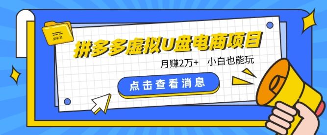 拼多多虚拟U盘电商红利项目：月赚2万+，新手小白也能玩-立业有术