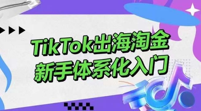 TikTok出海淘金，新手体系化入门，零基础快速入门，掌握短视频、直播带货等引流到变现的知识-立业有术
