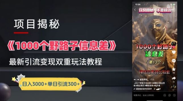 一千个野路子信息差最新玩法教程-变现+引流的玩法具体拆解【揭秘】-立业有术