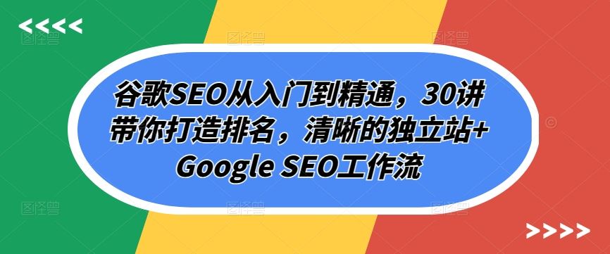 谷歌SEO从入门到精通，30讲带你打造排名，清晰的独立站+Google SEO工作流-立业有术