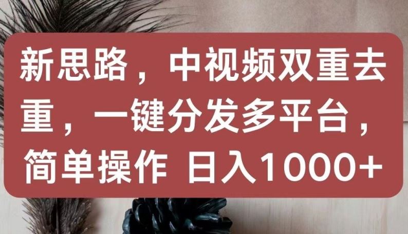 新思路，中视频双重去重，一键分发多平台，简单操作，日入1000+【揭秘】-立业有术