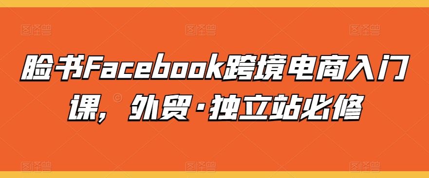 脸书Facebook跨境电商入门课，外贸·独立站必修-立业有术