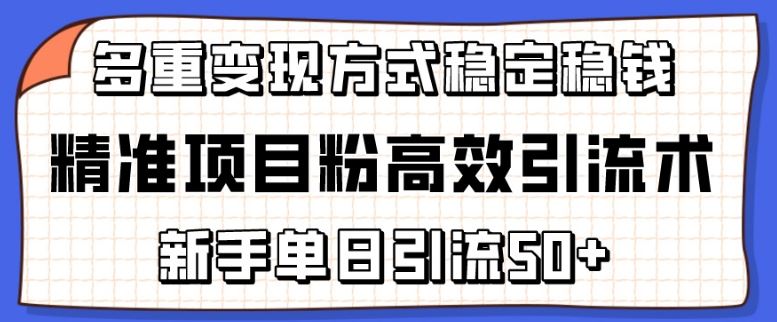 精准项目粉高效引流术，新手单日引流50+，多重变现方式稳定赚钱【揭秘】-立业有术