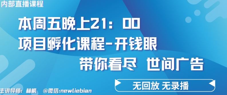 4.26日内部回放课程《项目孵化-开钱眼》赚钱的底层逻辑【揭秘】-立业有术