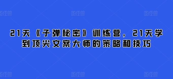 21天《子弹秘密》训练营，21天学到顶尖文案大师的策略和技巧-立业有术
