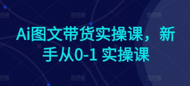 Ai图文带货实操课，新手从0-1 实操课-立业有术